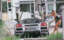 [thumbnail of Lamborghini Diablo.jpg]